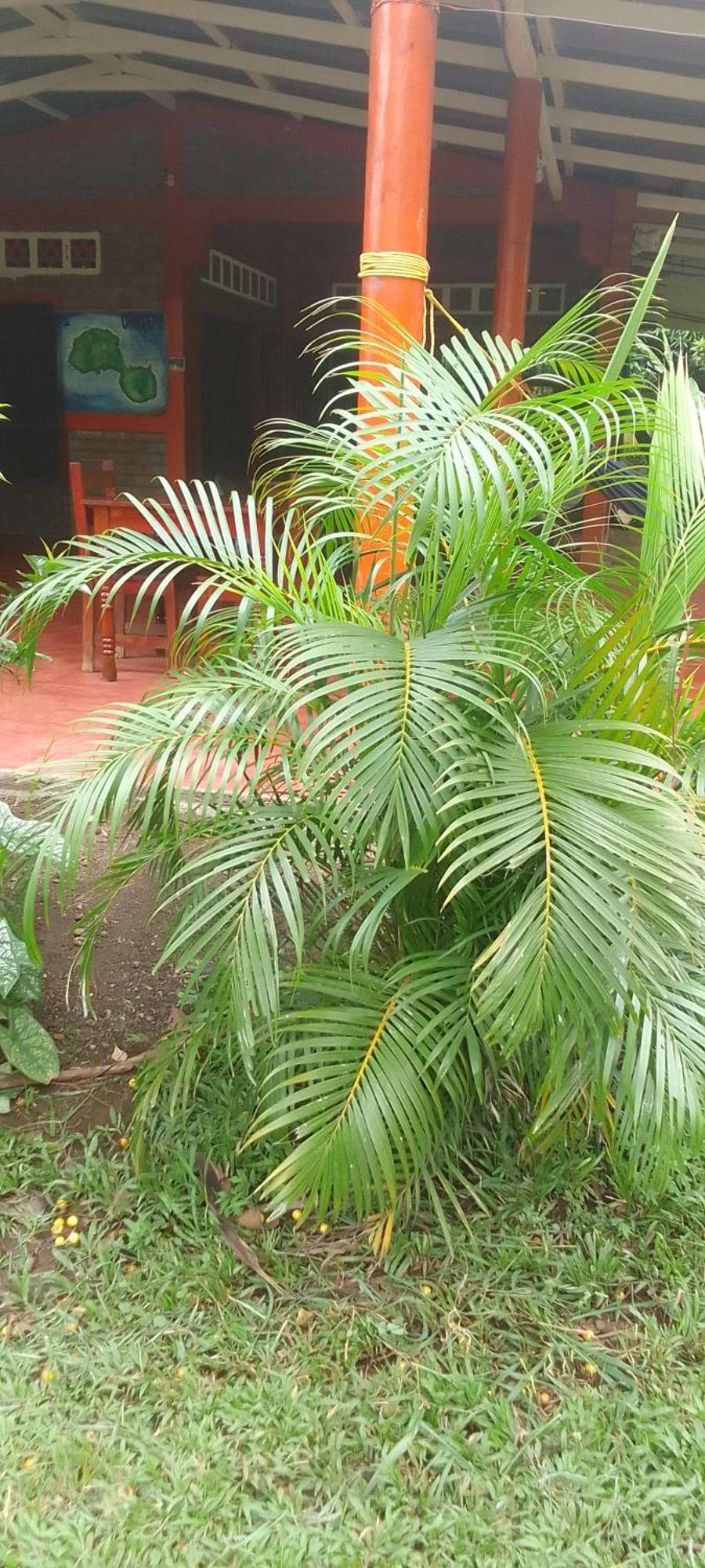 El Gueis Hostel Balgue Bilik gambar